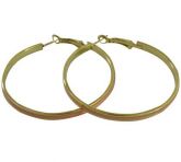 Brinco dourado de argola com resina